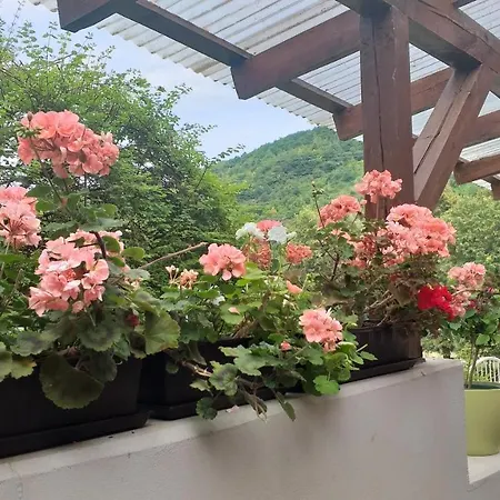 Moselina Gaestezimmer 住宿加早餐酒店