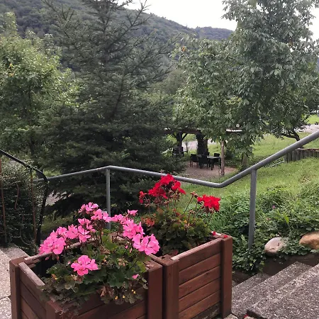 Moselina Gaestezimmer 3* 圣阿尔德贡德