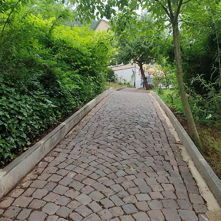 Oda ve Kahvaltı Moselina Gaestezimmer 4*