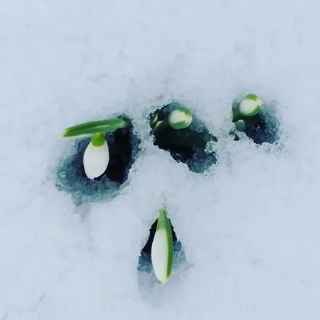 Moselina Gaestezimmer ベッド・アンド・ブレックファスト 4*