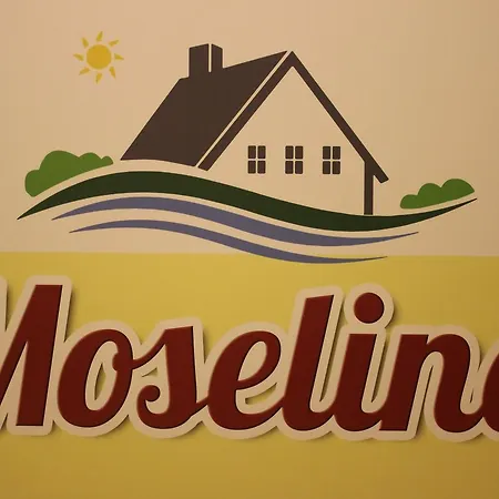 Moselina Gaestezimmer 住宿加早餐酒店 圣阿尔德贡德