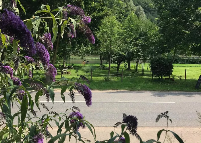 Oda ve Kahvaltı Moselina Gaestezimmer