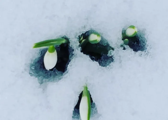 Moselina Gaestezimmer Couette-café 4*