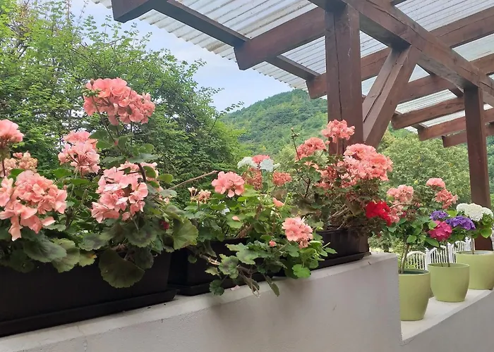 Moselina Gaestezimmer Oda ve Kahvaltı Sankt Aldegund